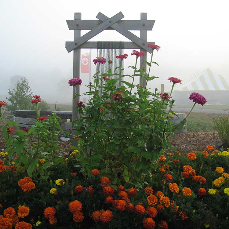 Flowers and fog surround the EarthLoom